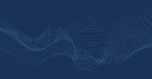 You’ve Set the Risk Profile and Built the Portfolio—What Comes Next?
