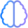 BRAIN
